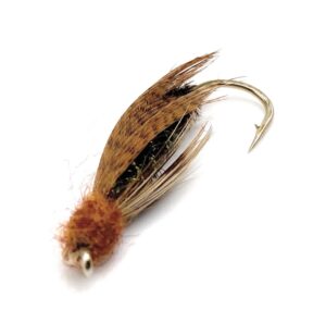 Brown Dredgebug