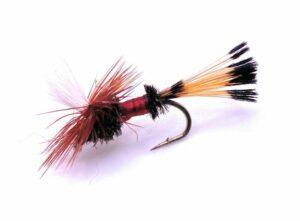 Parachute Royal Coachman