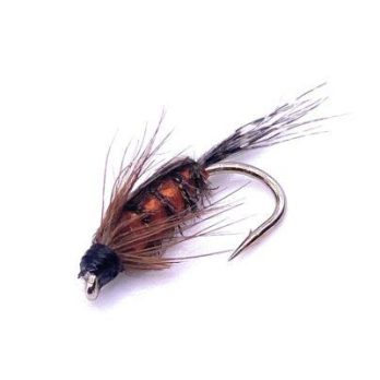 Tellico Nymph - Orange