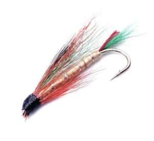 Little Brook Trout
