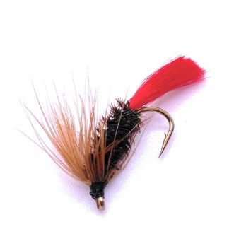 Brown Hackle Peacock Wet