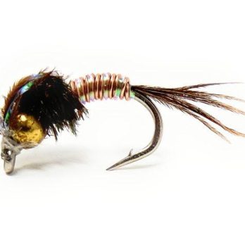 Beadhead Bubble Back Emerger - Copper